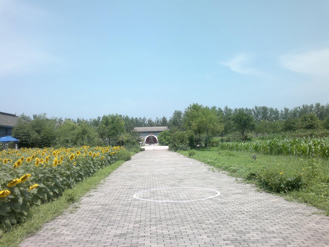 玻璃連棟溫室 玻璃連棟溫室