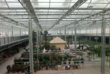 玻璃連棟溫室 玻璃連棟溫室