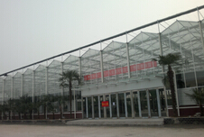 玻璃連棟溫室 玻璃連棟溫室