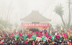 玻璃連棟溫室 玻璃連棟溫室