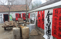 玻璃連棟溫室 玻璃連棟溫室