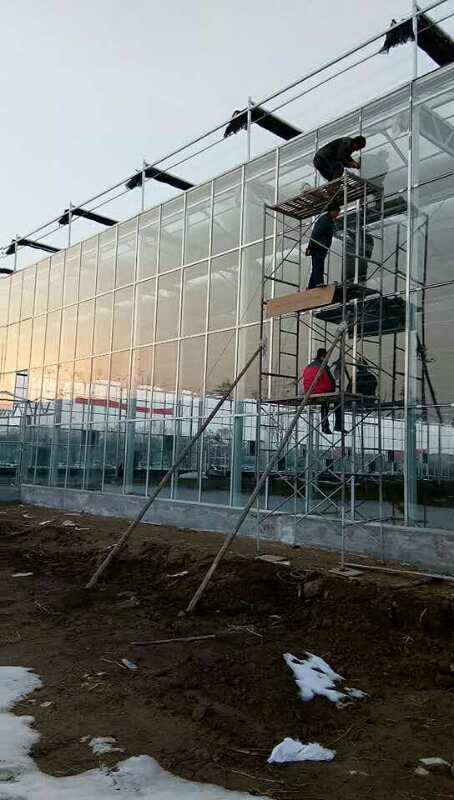 玻璃連棟溫室 玻璃連棟溫室