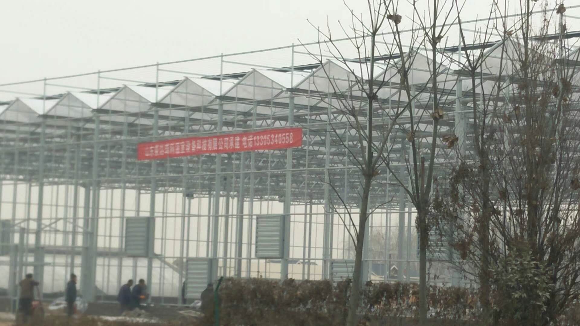 玻璃連棟溫室 玻璃連棟溫室