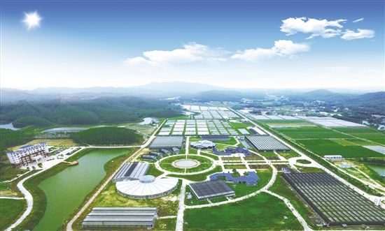 玻璃連棟溫室 玻璃連棟溫室