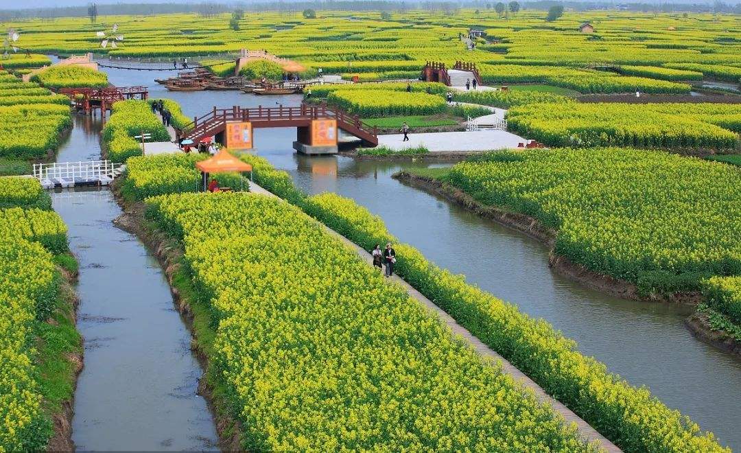 玻璃連棟溫室 玻璃連棟溫室