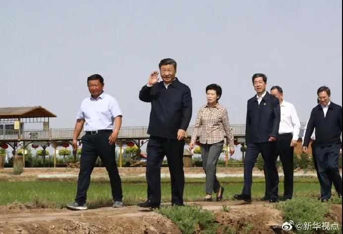 玻璃連棟溫室 玻璃連棟溫室