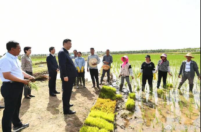 玻璃連棟溫室 玻璃連棟溫室