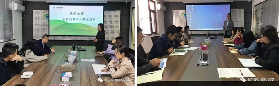 玻璃連棟溫室 玻璃連棟溫室