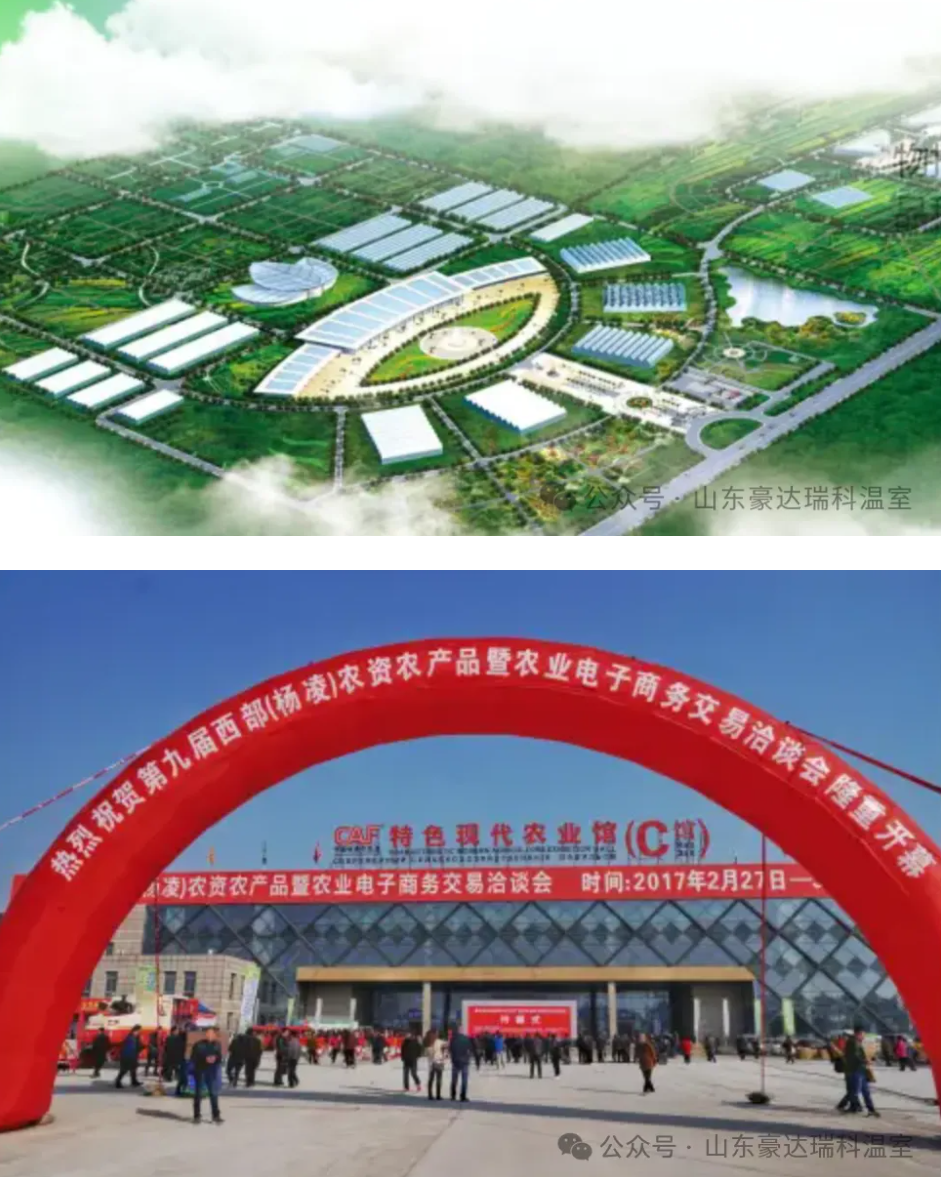 玻璃連棟溫室 玻璃連棟溫室