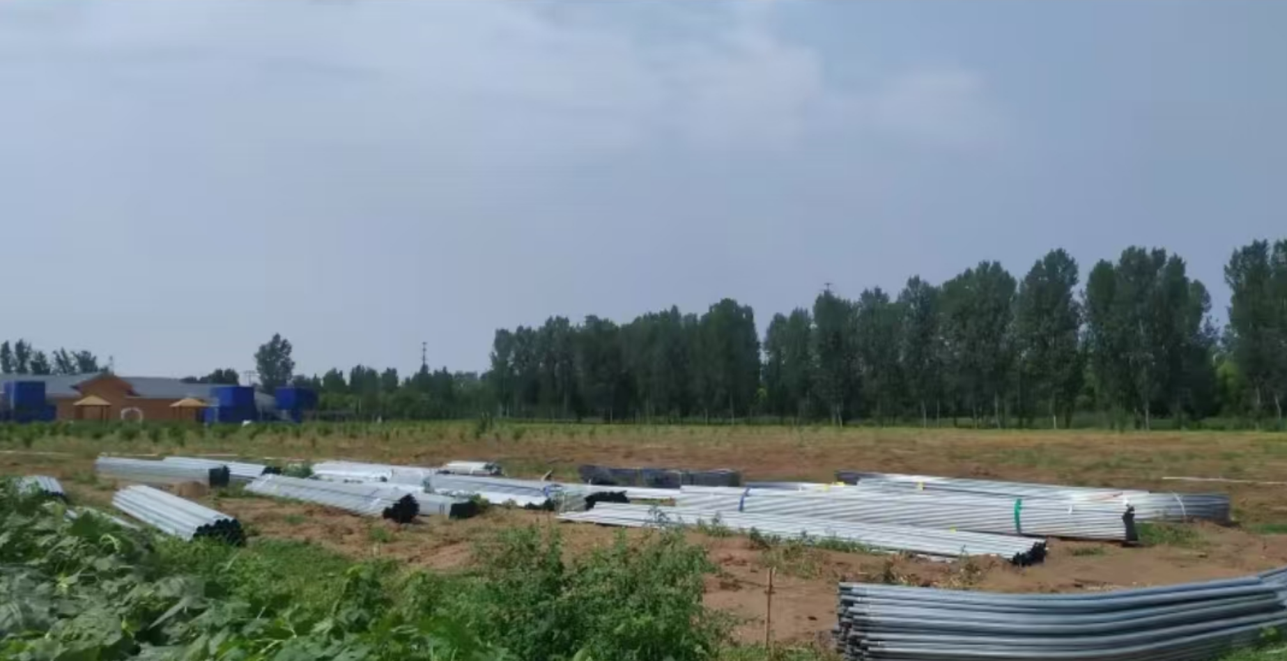 玻璃連棟溫室 玻璃連棟溫室