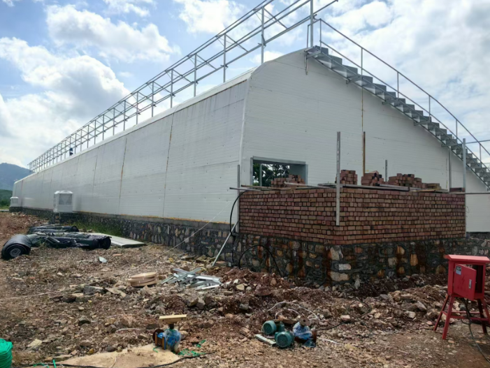 玻璃連棟溫室 玻璃連棟溫室