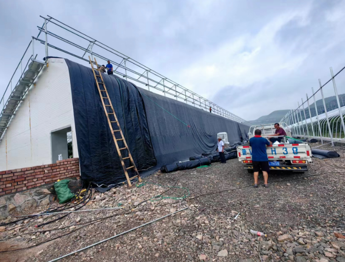 玻璃連棟溫室 玻璃連棟溫室