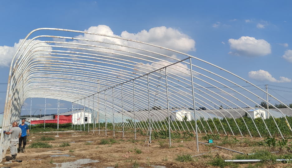 玻璃連棟溫室 玻璃連棟溫室