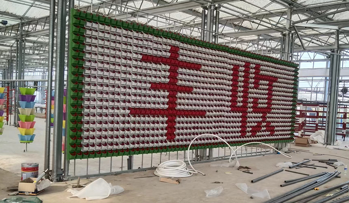 玻璃連棟溫室 玻璃連棟溫室