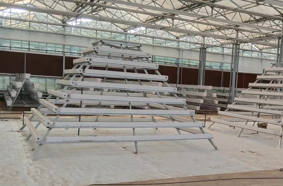 玻璃連棟溫室 玻璃連棟溫室