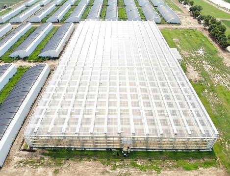 玻璃連棟溫室 玻璃連棟溫室