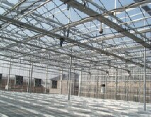 天津武清有機(jī)菜種植園區(qū)